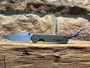 Thunderbird Edition Sebenza 31
